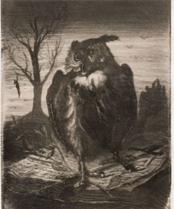 chouette-lepic.jpg