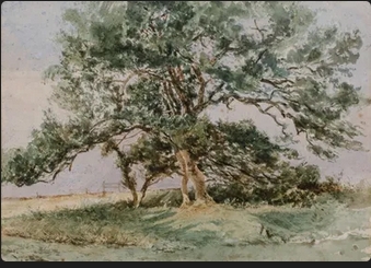 arbre-crisenoy-de.jpg