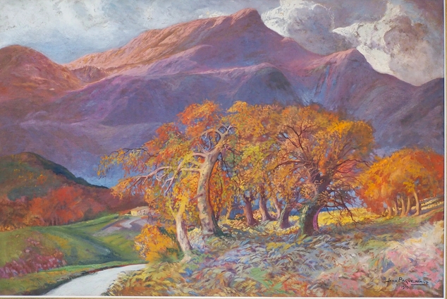 rhume-paguenaud.jpg