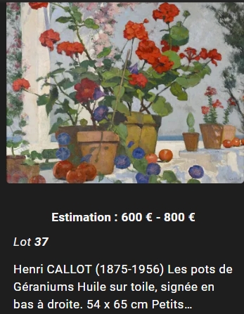 geranium-de-callot.jpg