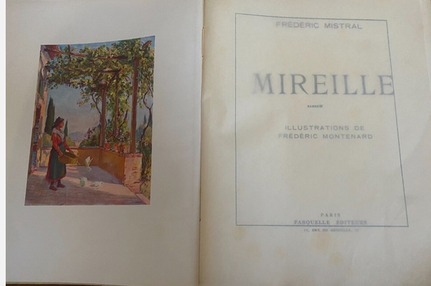mireille-montenard.jpg