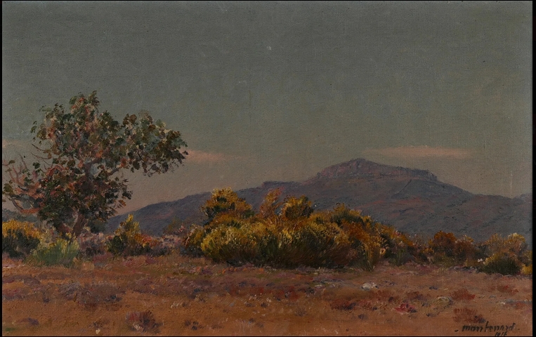 provence-montenard.jpg